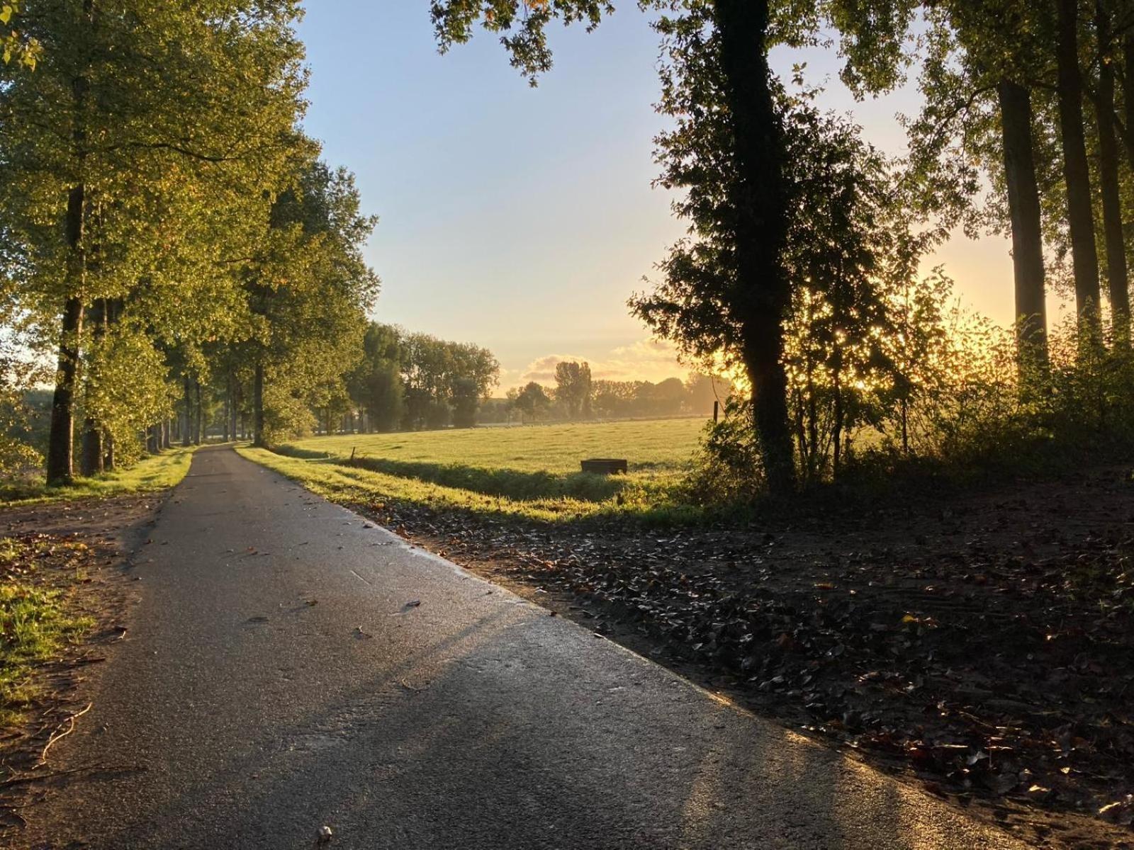 De Smokkelaar & Het Schuurtje Villa Maldegem Kültér fotó